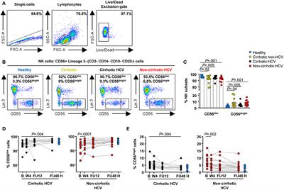Cirrhosis Hampers Early and Rapid Normalization of Natural Killer Cell Phenotype and Function in Hepatitis C Patients Undergoing Interferon-Free Therapy